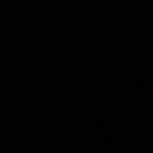 Meet your Posher, Gavin